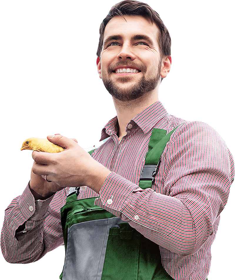 guy_holding_baby_hen_looking_like_farmer_very_happy_800 guy_holding_baby_hen_looking_like_farmer_very_happy_800